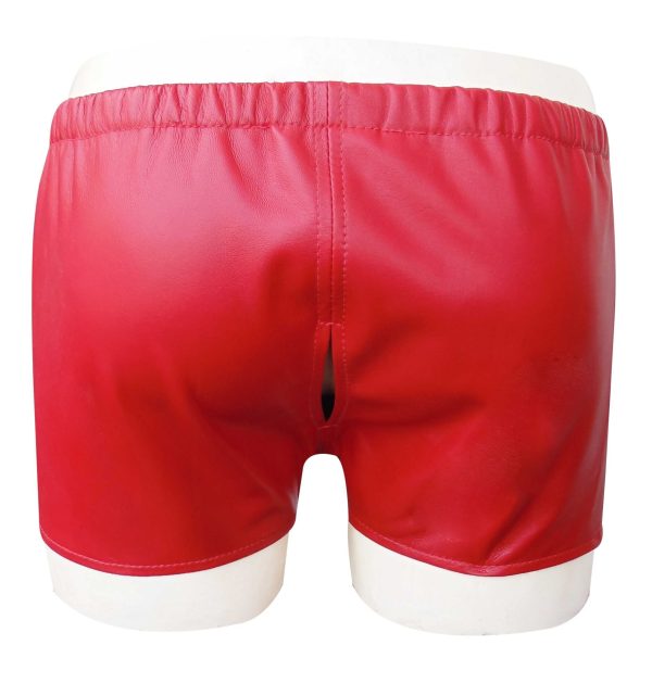 Leather Hot Shorts With Beautiful Cut on Back