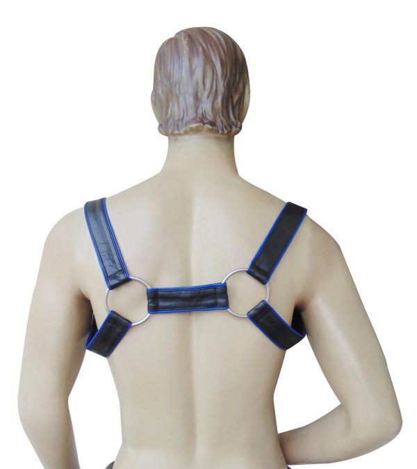 Leather Adjustable Harness with O-Ring and Blue Color Piping